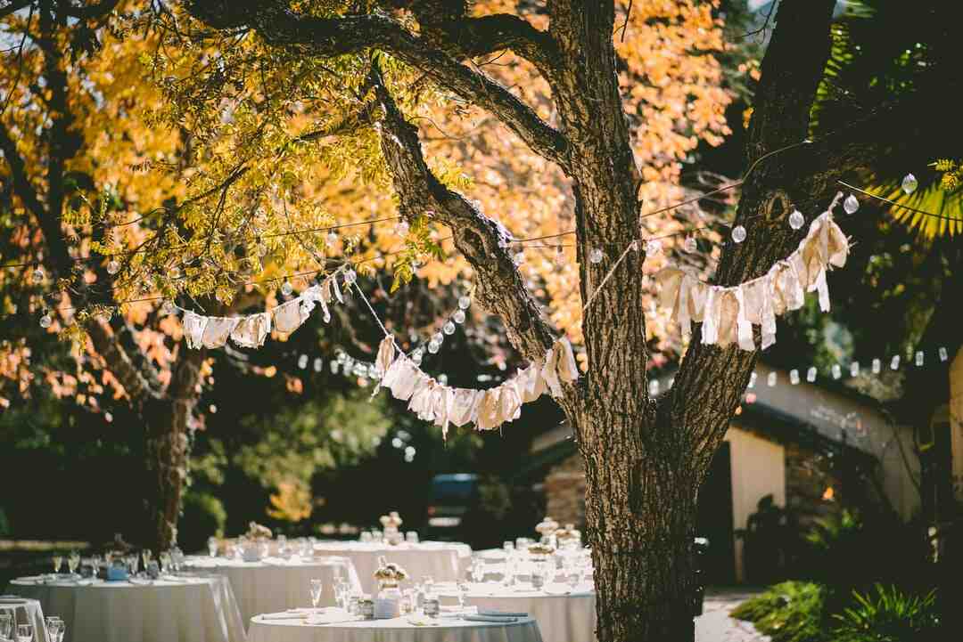 Quelle est la signification de la couleur saumon ?