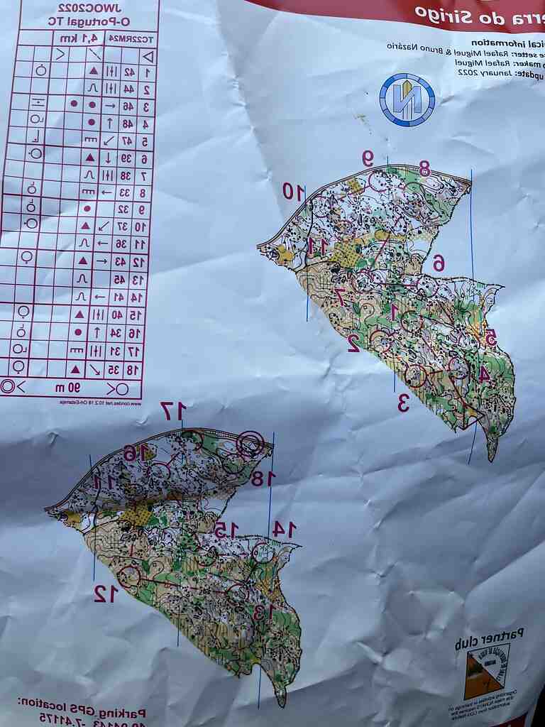 Quelle fleurs mettre dehors en hiver ?