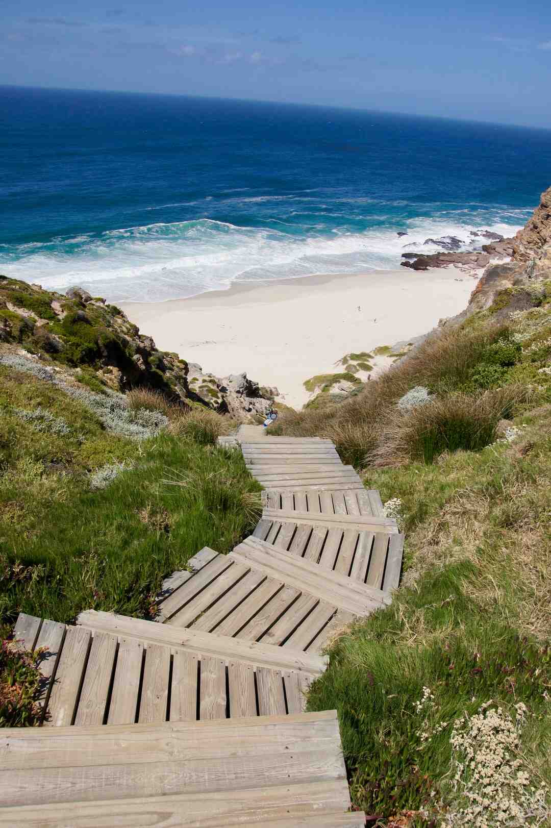 Quelle graisse de bœuf pour frites ?