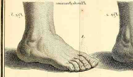 Quelle huile essentielle contre les engelures ?