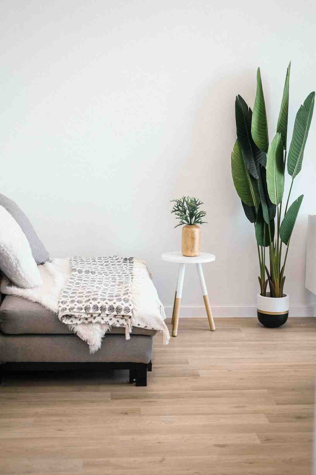 Quelle orientation pour avoir du soleil ?