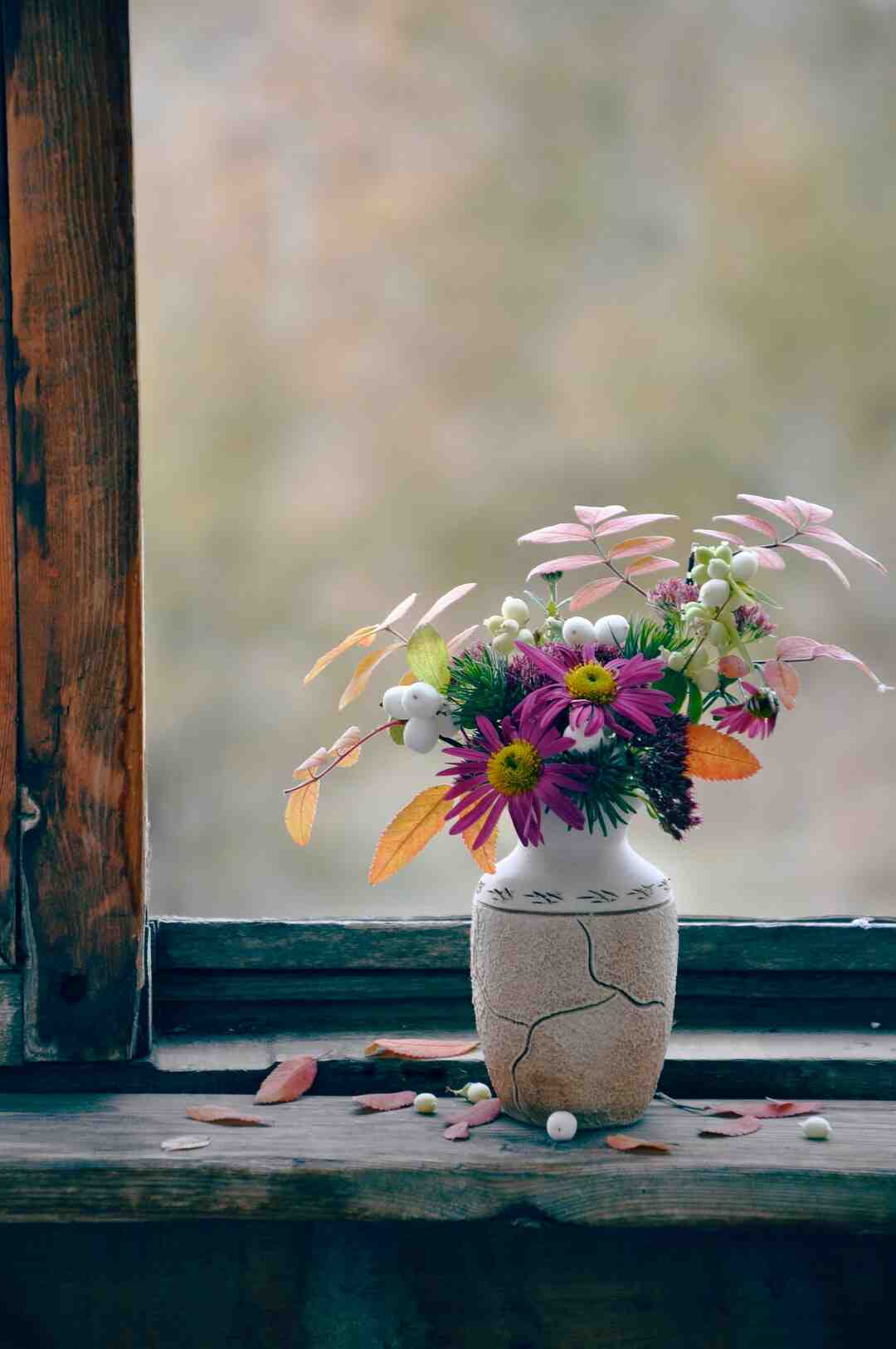 Quelle plante fleurit toute l'année même en hiver ?