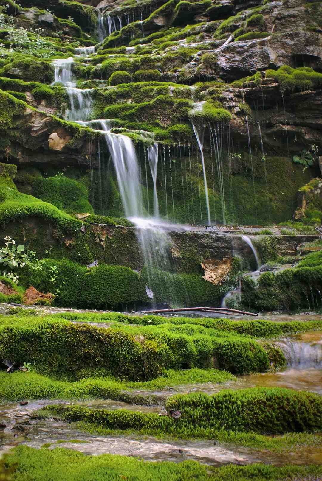 Quelle plante pour ne pas se réveiller la nuit ?