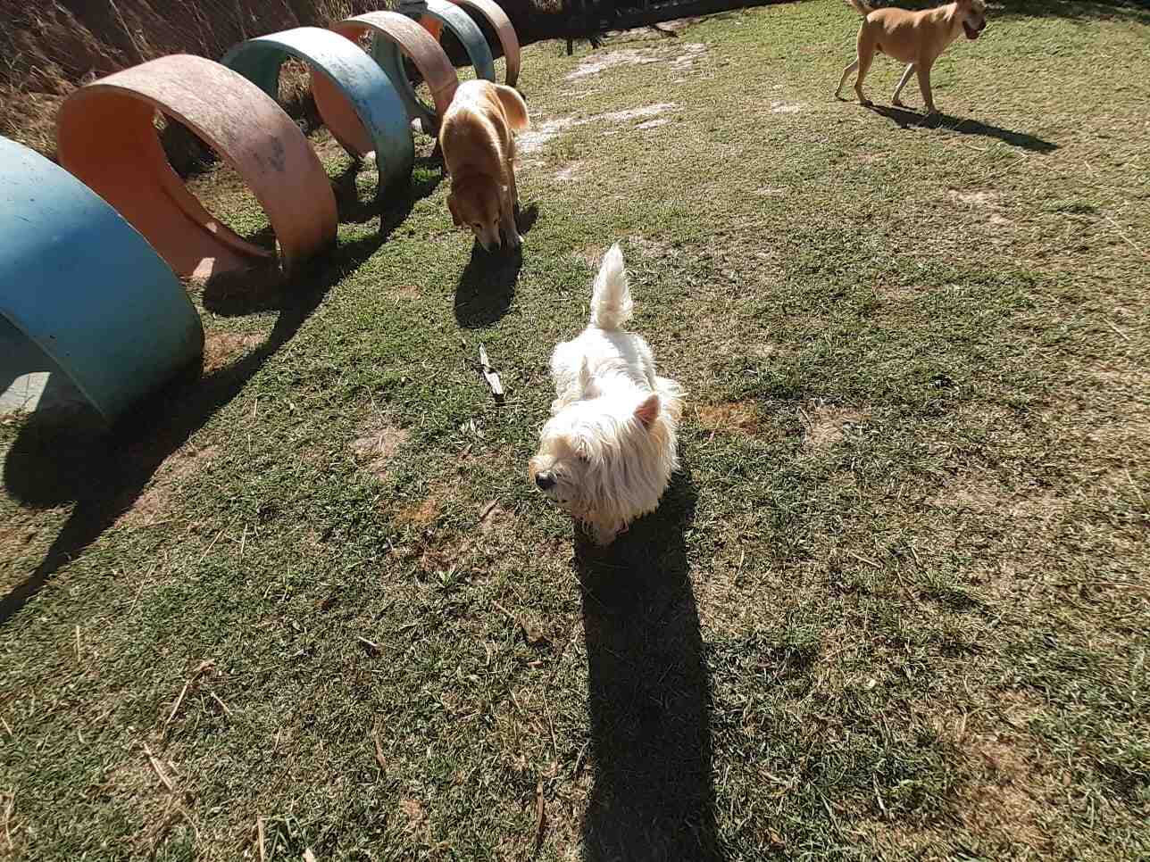 Quelle plante résiste ?