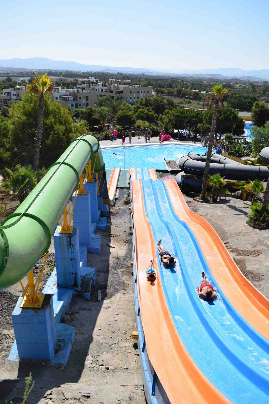 Quelle sorte d'aloe vera pour la peau ?