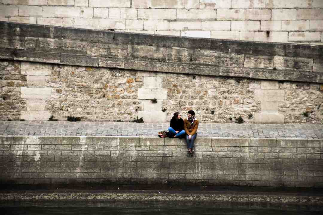 Quelle terre pour un mur végétal ?