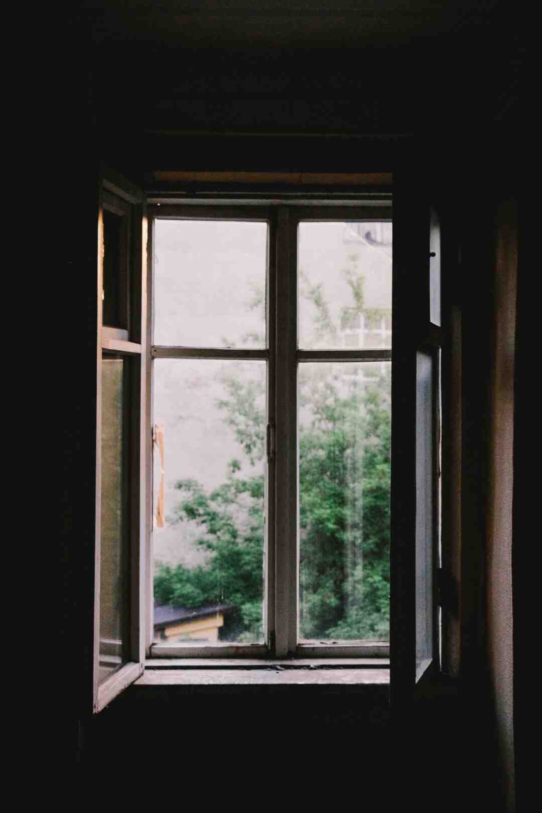 Quelle version Windows en 2007 ?