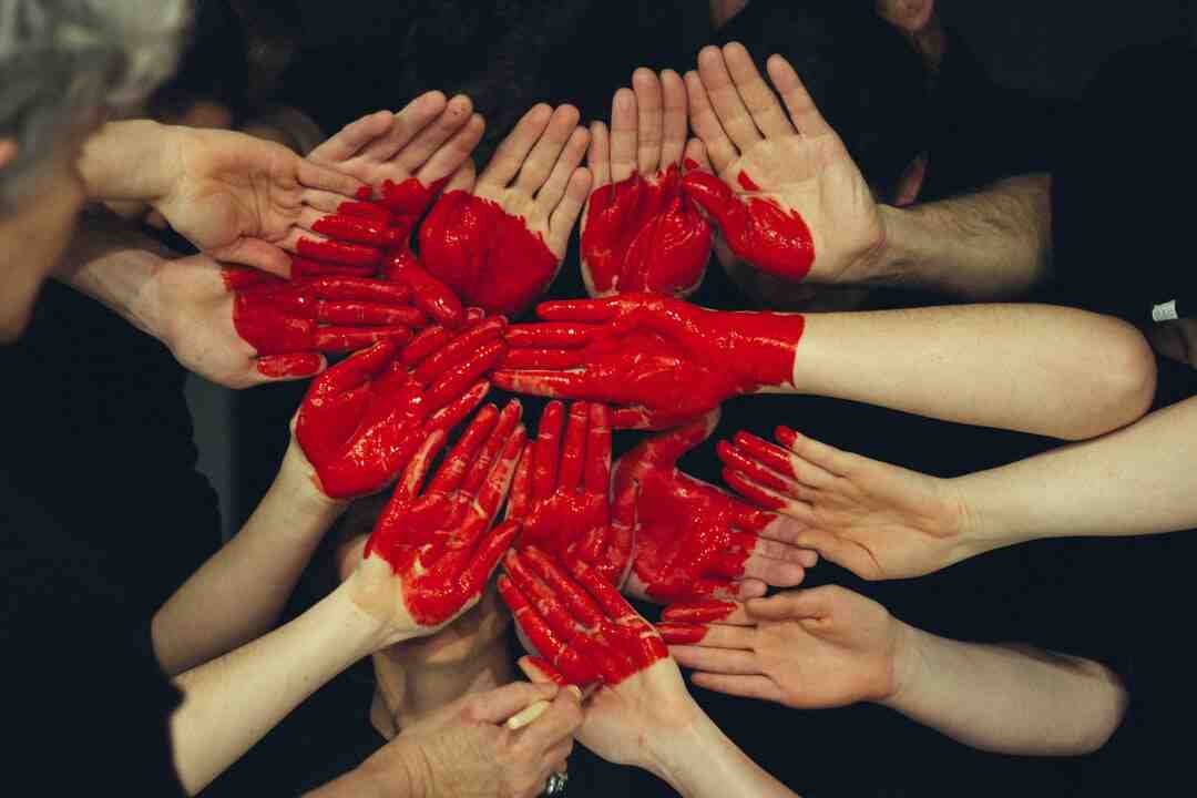 Quelles fleurs en jardinière Plein Sud ?