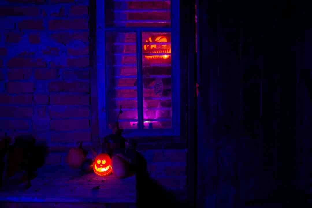 Quelles plantes pour un jardin sans entretien ?