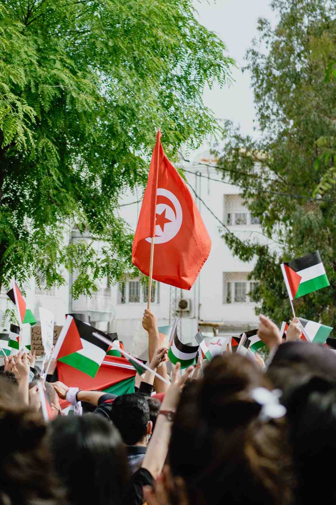 Quelles sont les céréales sans gluten ?