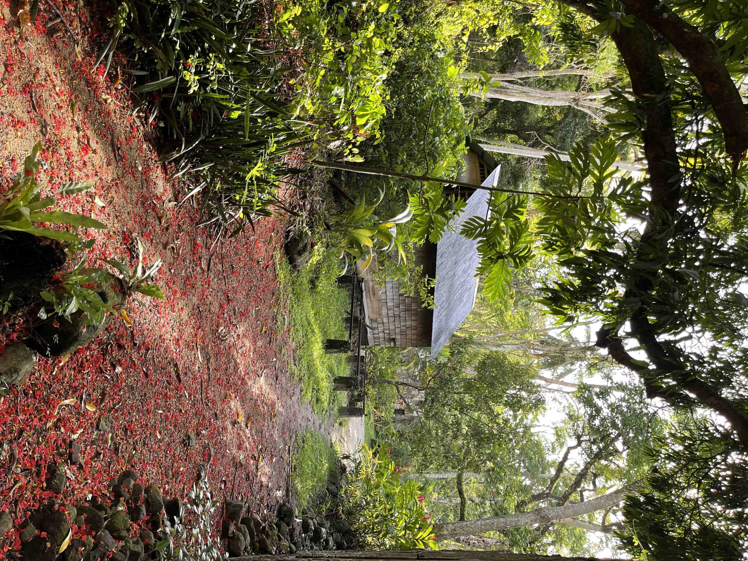 Quelles sont les couleurs qui agrandissent une pièce ?