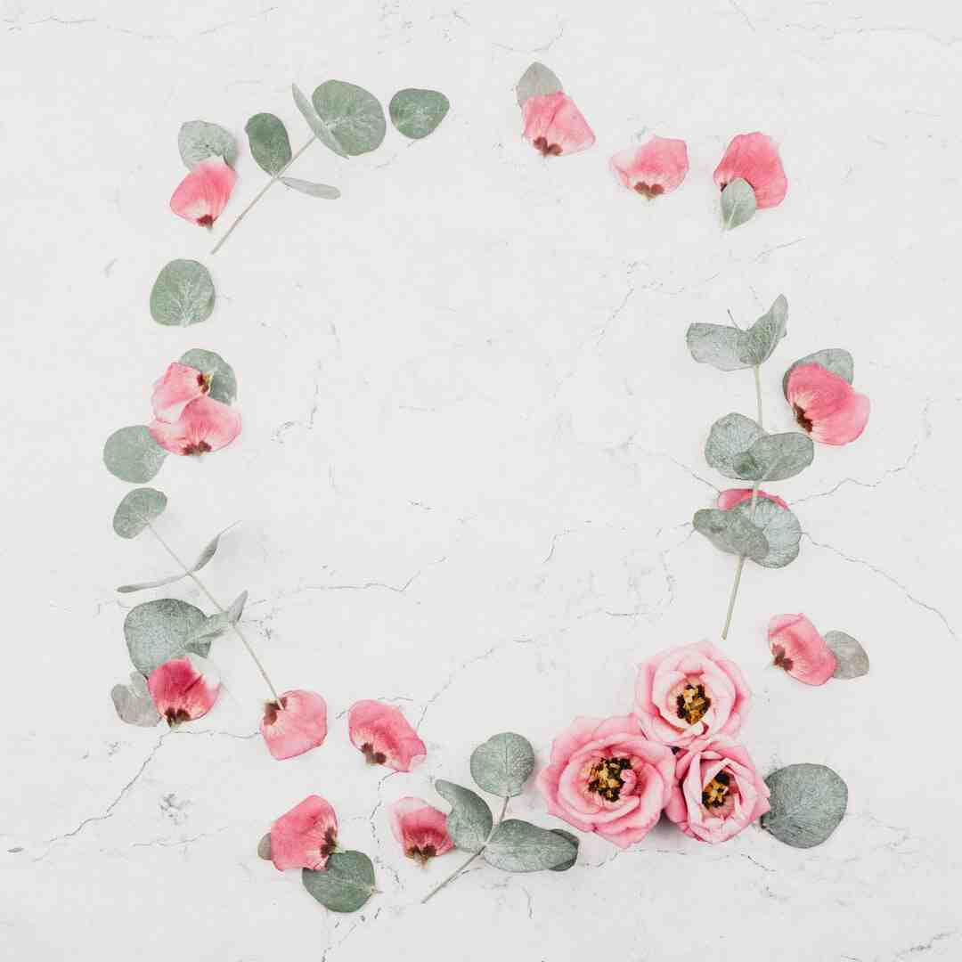 Quelles sont les fleurs qu'il y a pour le mariage en hiver ?