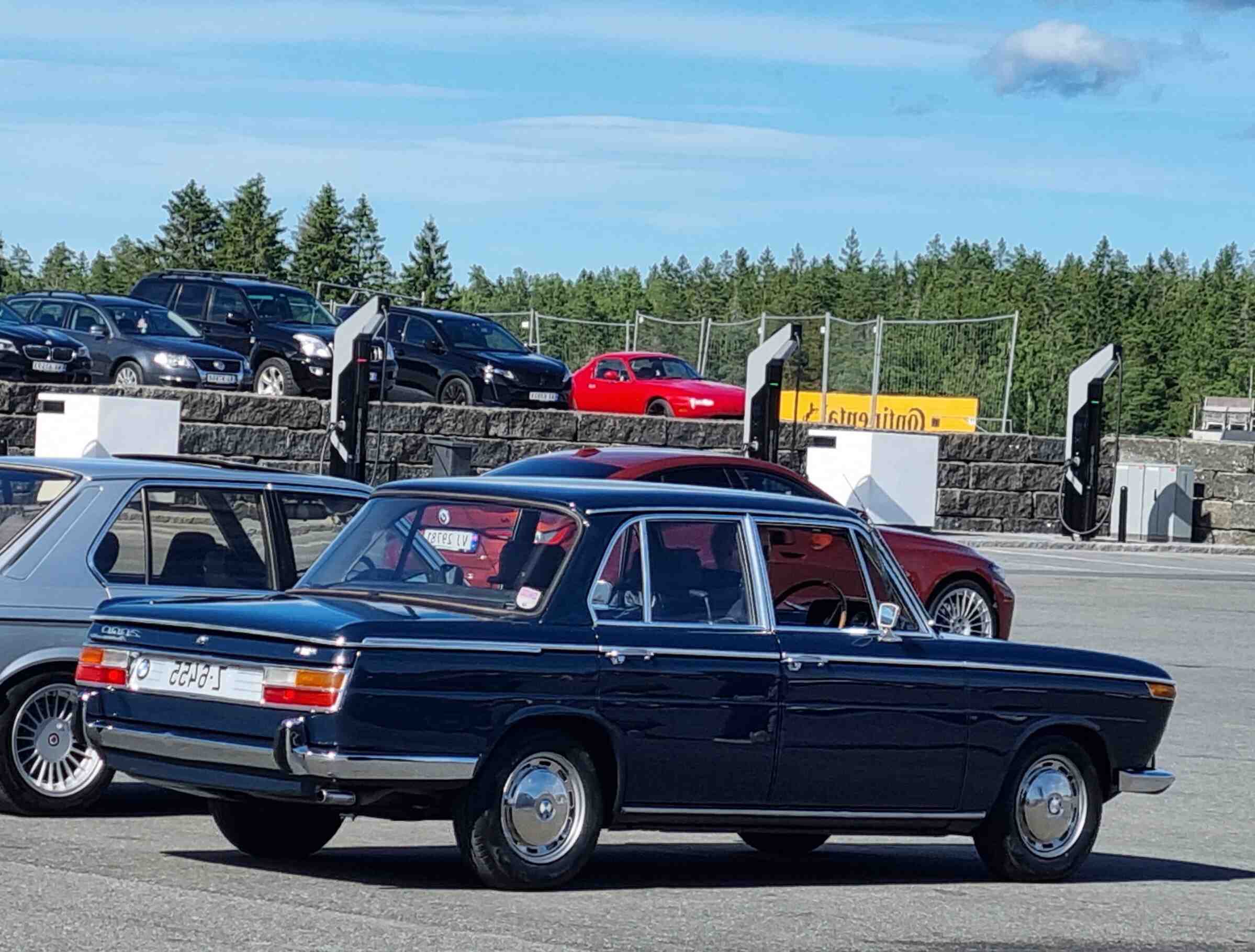 Quelles sont les plantes les plus dépolluantes ?