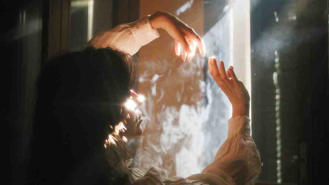 Quelles sont les plantes spirituelles ?