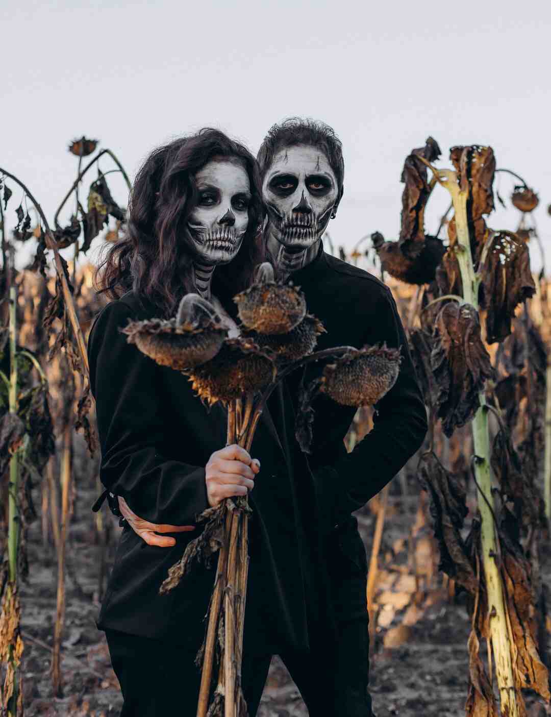 Quels sont les avantages et les inconvénients des différents systèmes d'exploitation ?