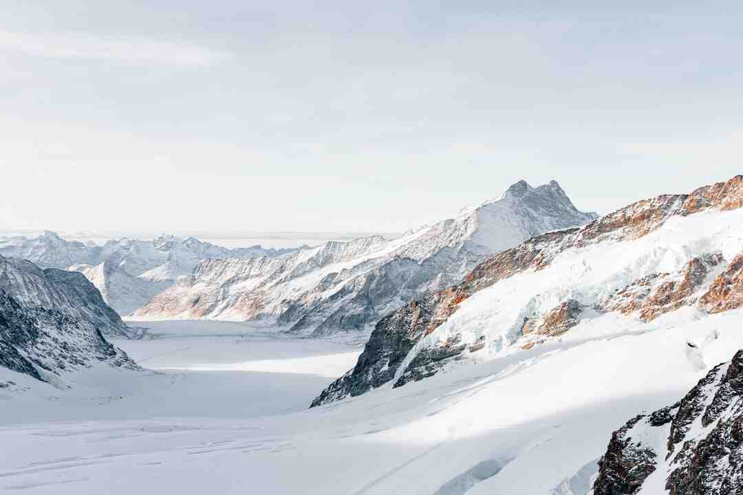 Quels sont les concurrents de Gamm Vert ?