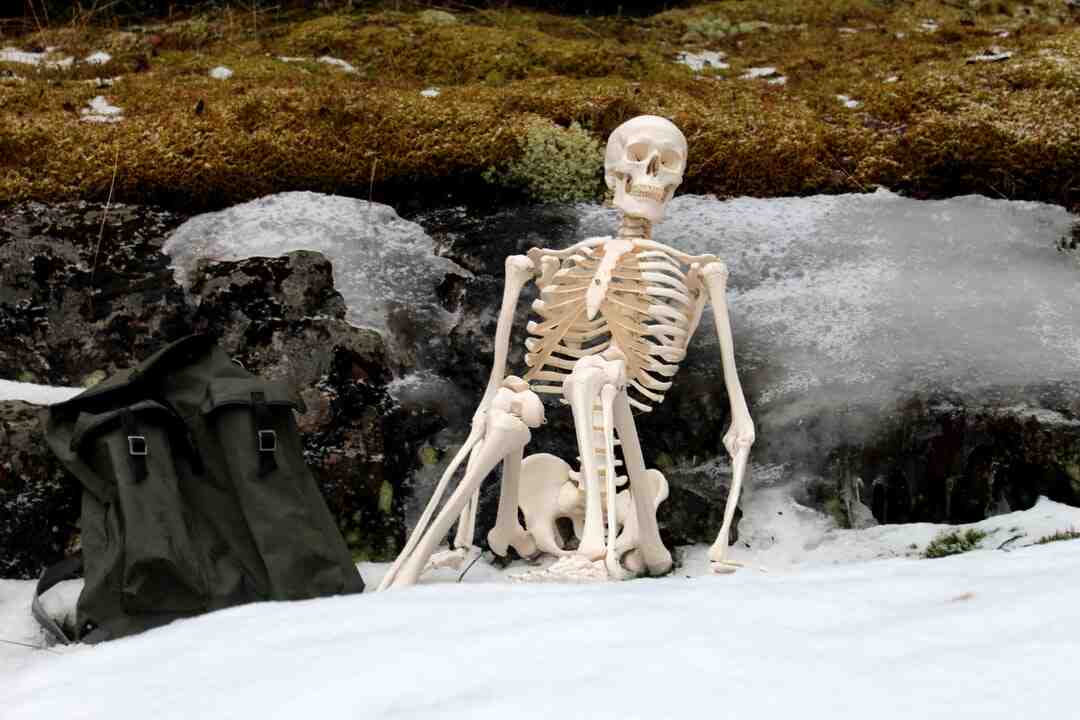 Qu'est ce qui remplace le pain sans gluten ?