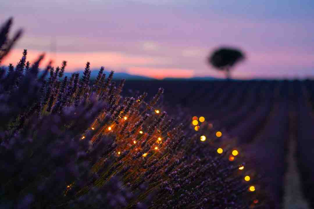 Qui descend en Ligue 2 en 2023 ?