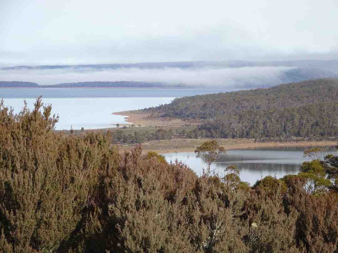 Qui est le plus grand magicien du monde ?