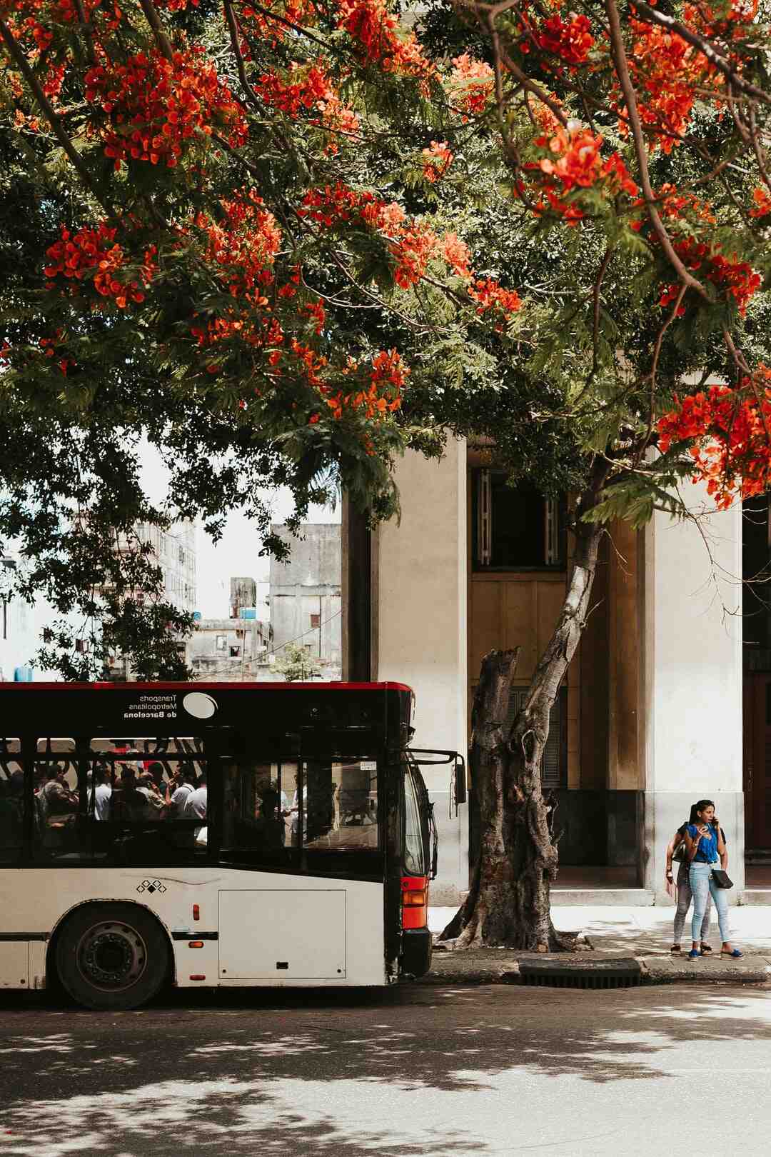 Qui paie les Abribus ?