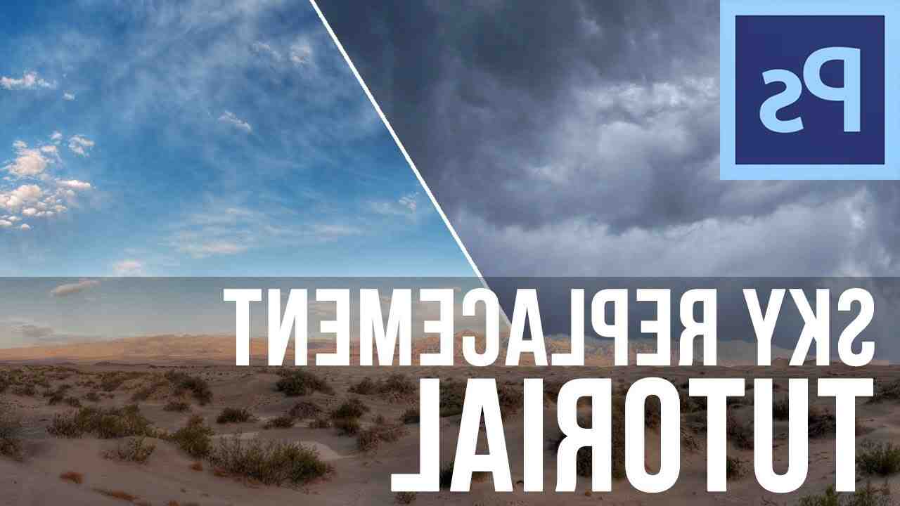 Qui remplace Bambip ?