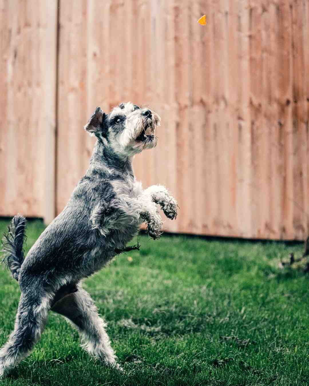 Truc et astuce jardin