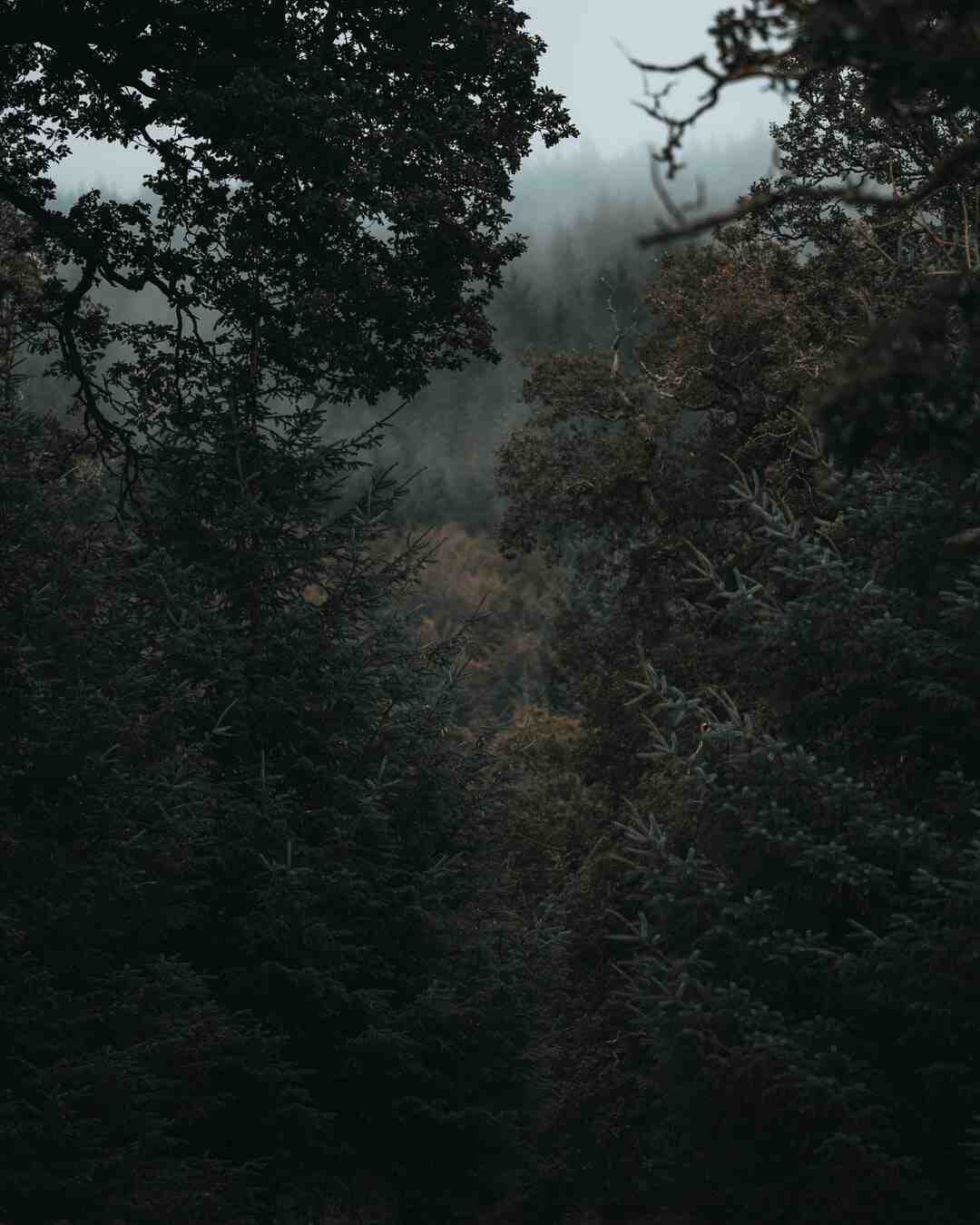 Trucs et astuces pour dépenser moins