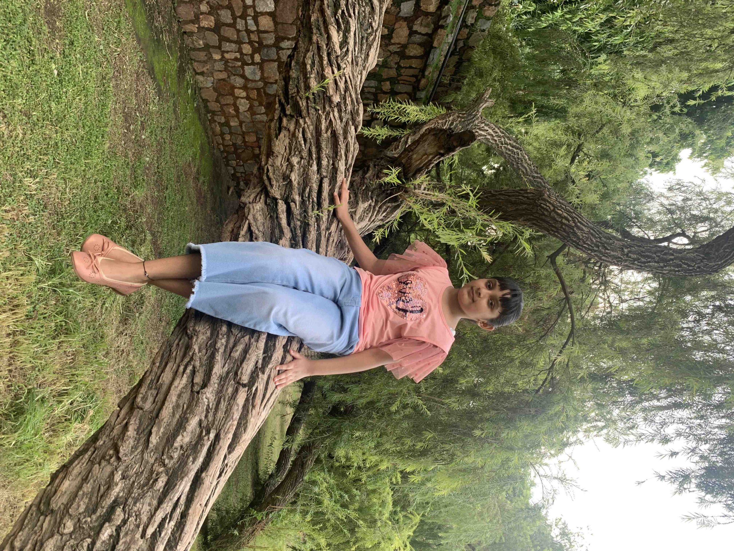 C'est quoi un rouleau laqueur ?