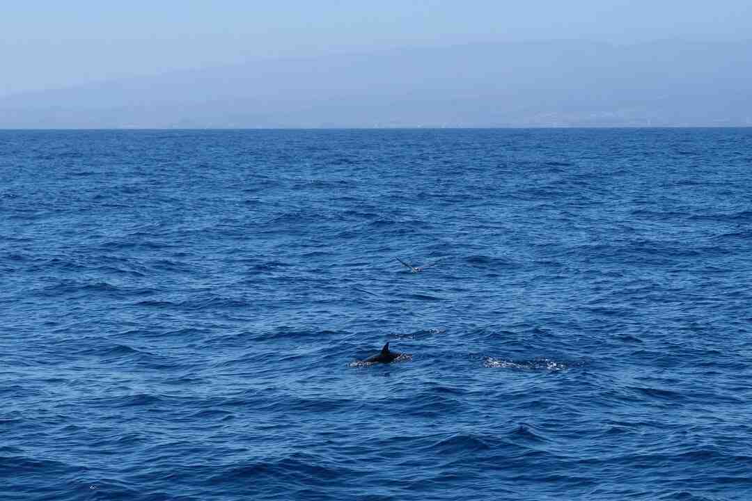 Comment avoir de la motte d'argile Minecraft ?