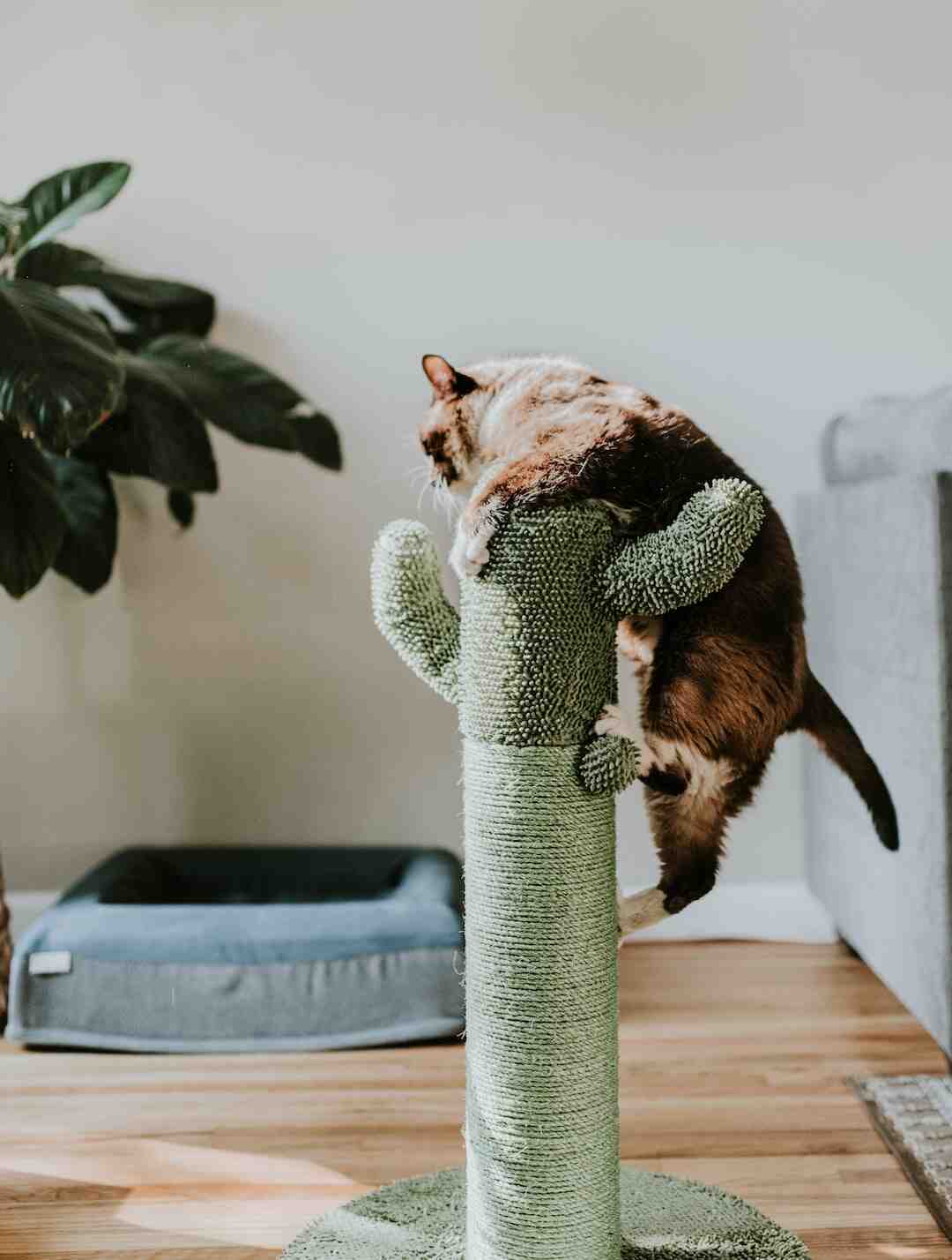 Comment construire un arbre à chat facile ?