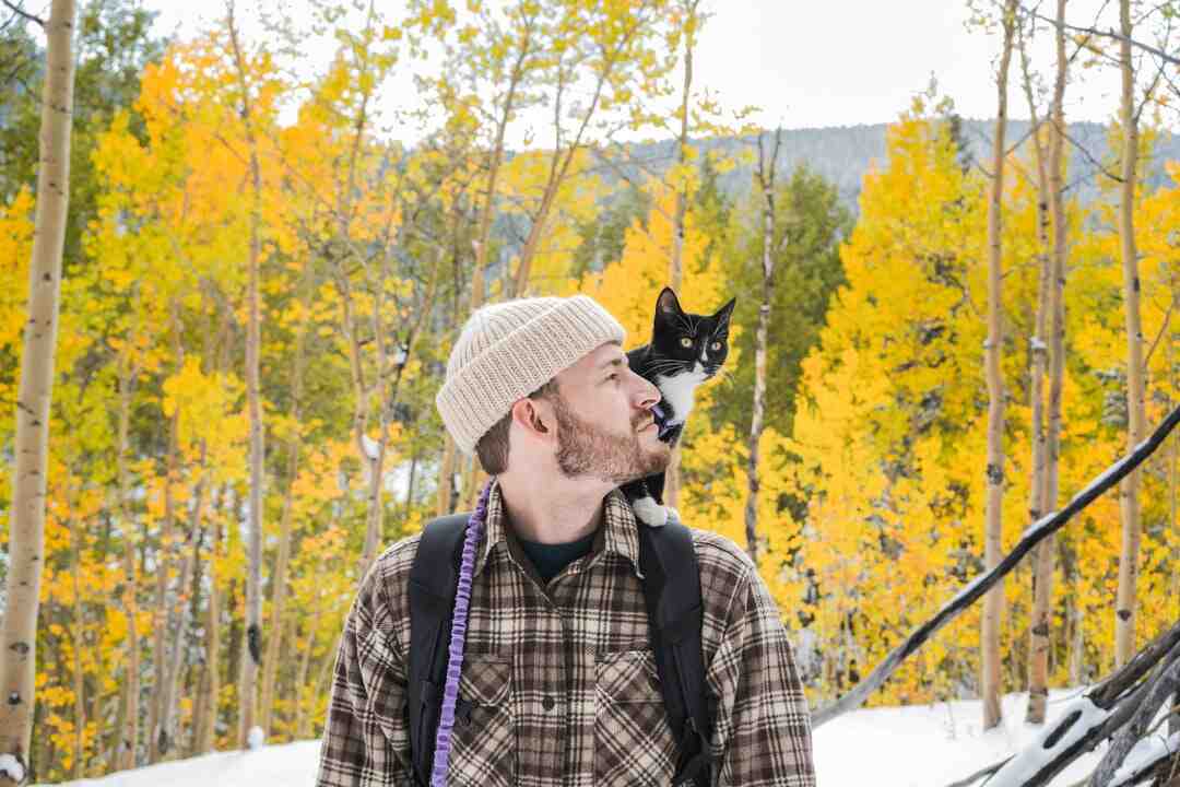 Comment fabriquer un arbre en bois ?