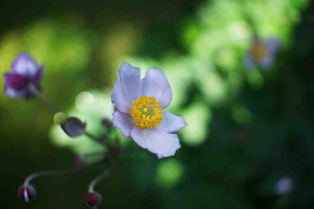 Comment faire disparaître les trous sur le nez ?