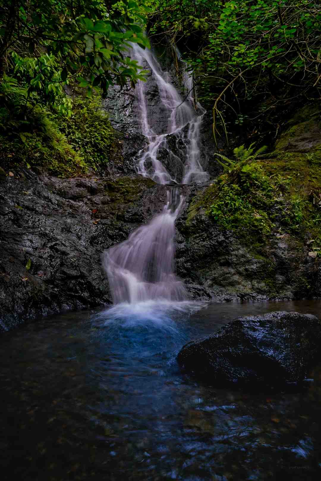 Comment faire sortir des moustiques d'une pièce ?