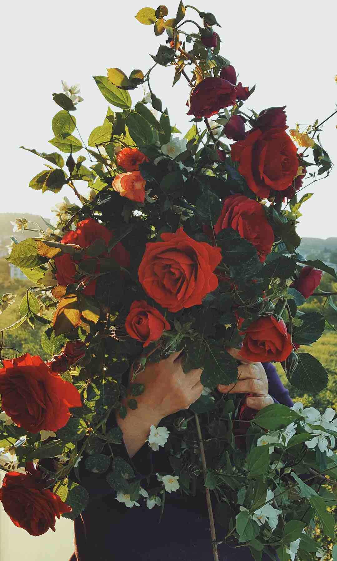 Comment faire une rafale sur Samsung s-21 ?