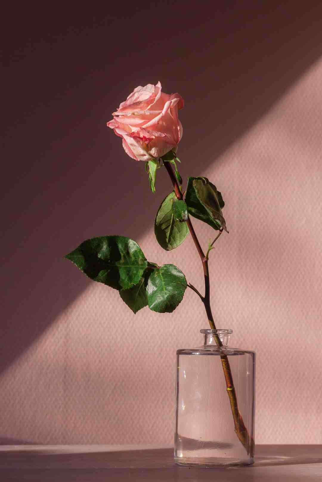 Comment faire une rose avec du papier et un verre ?