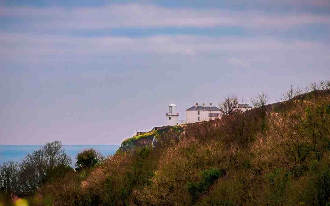 Comment nettoyer le visage avec du citron ?