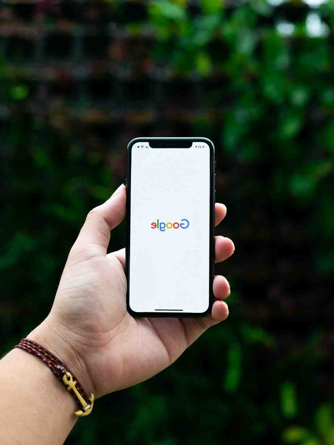 Comment s'appelle le dinosaure de Google ?