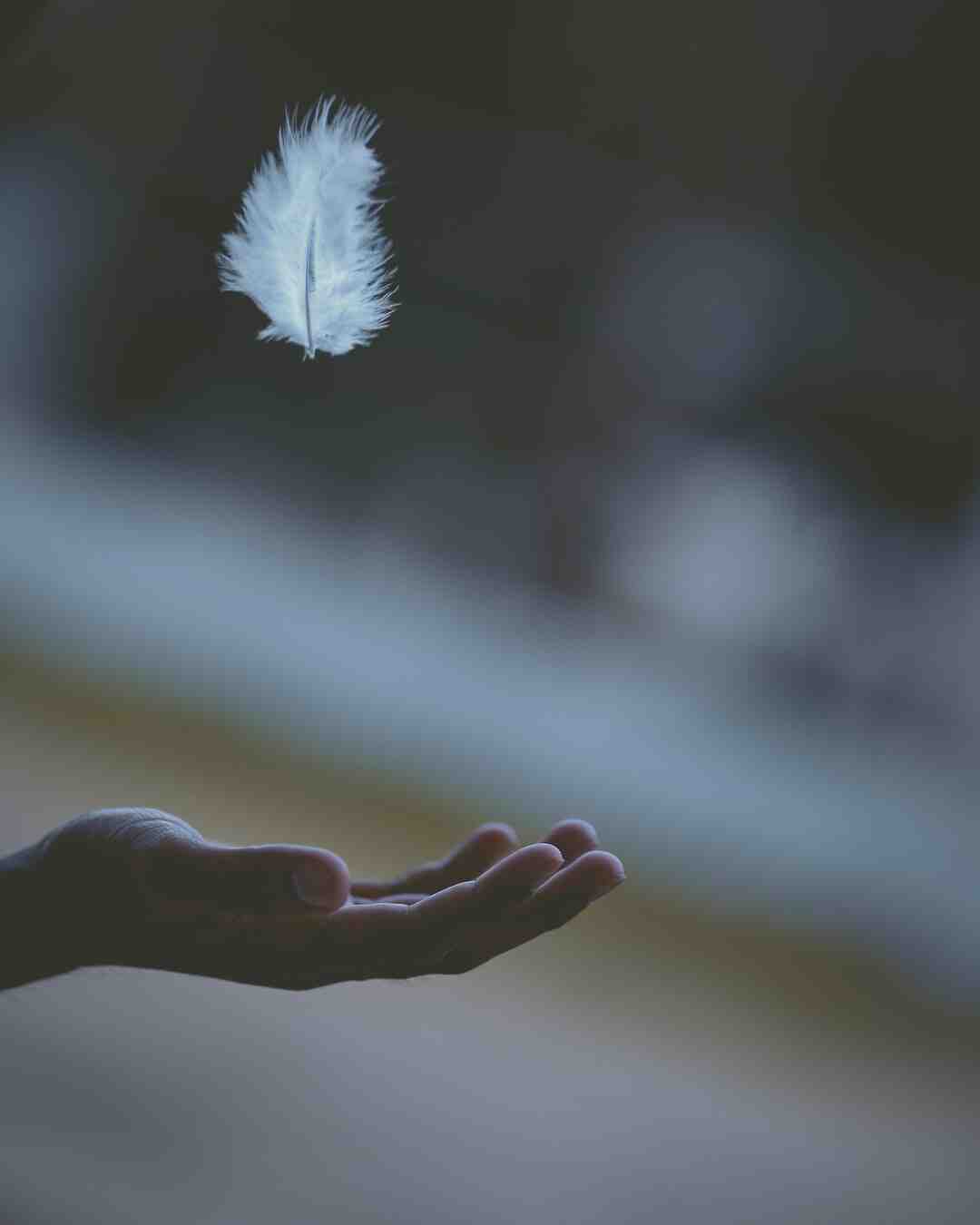 Comment savoir si on a une carte Magic rare ?