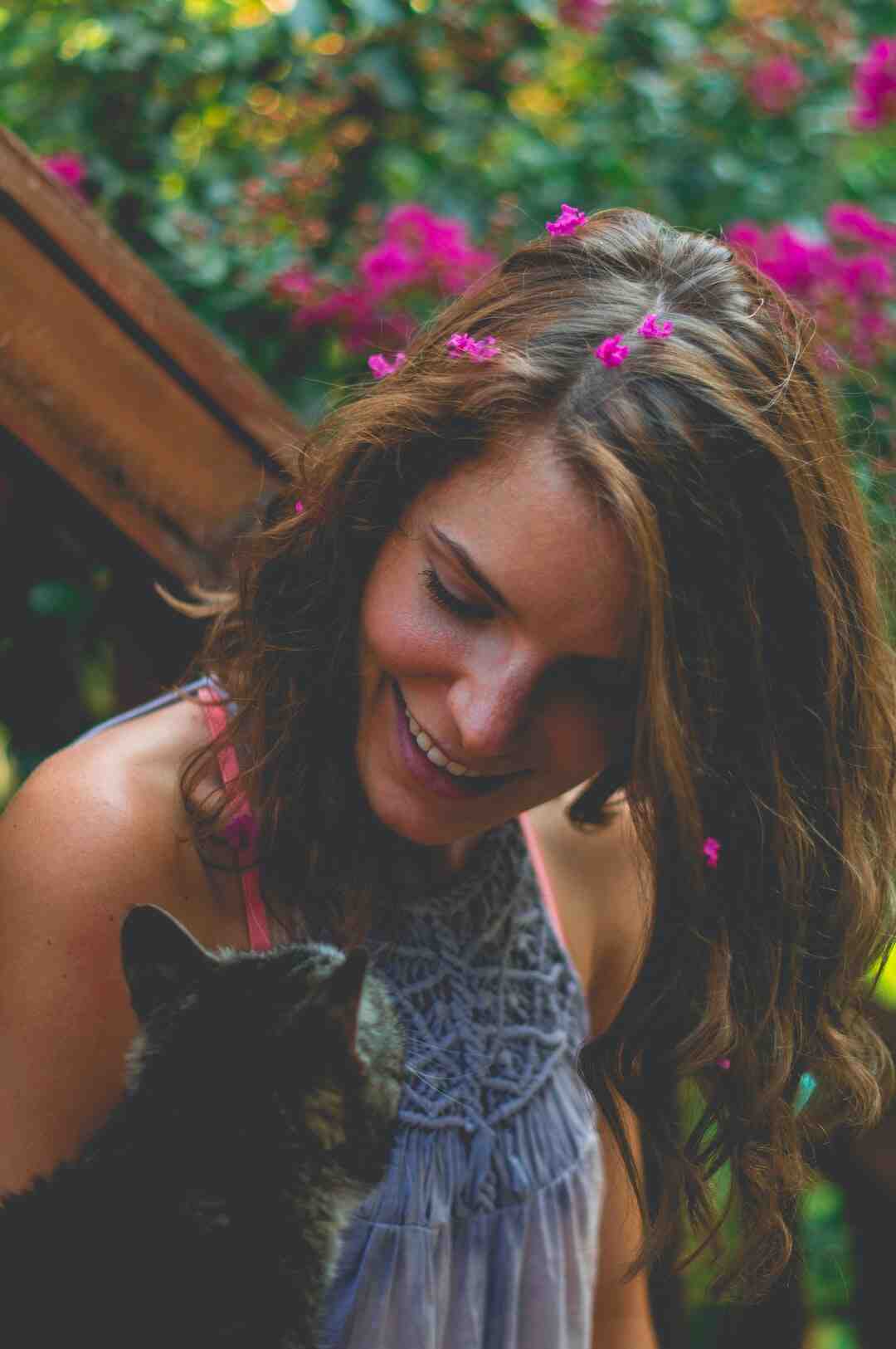 Où mettre l'herbe à chat sur griffoir ?