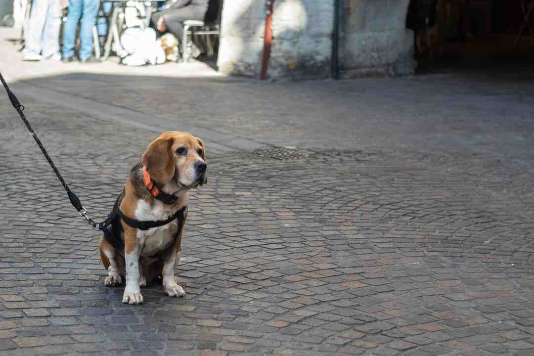 Où se baigner dans une rivière ?