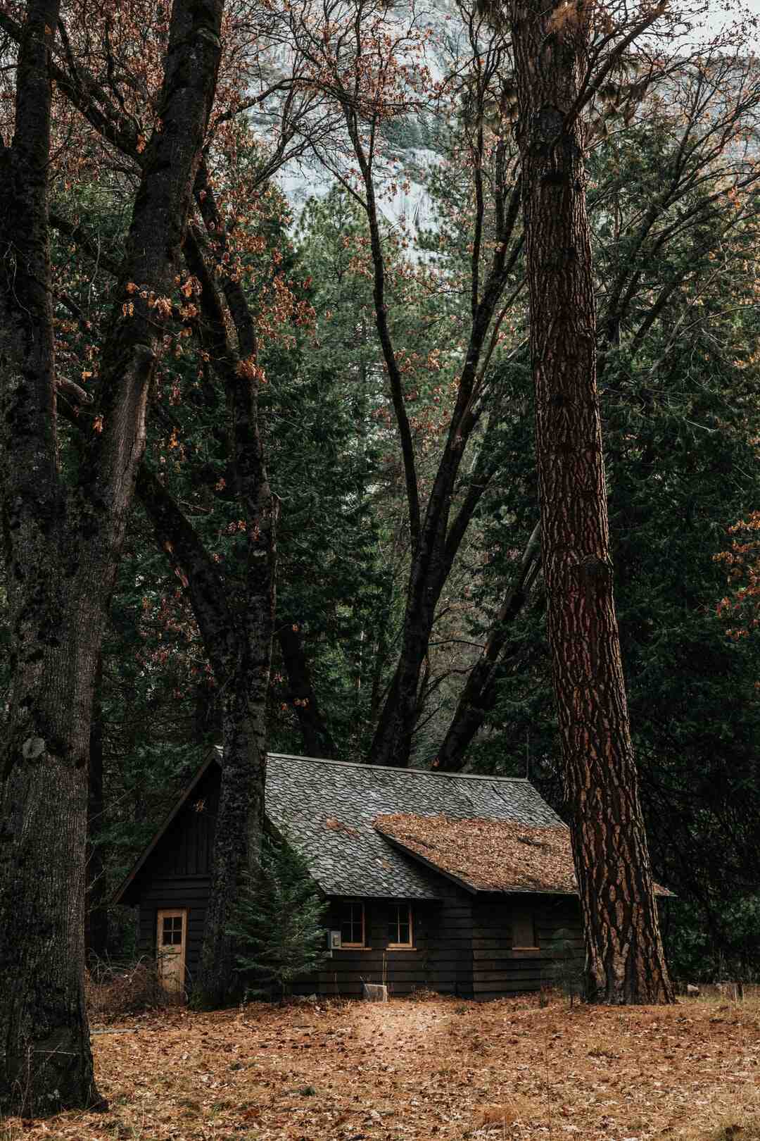 Pourquoi l'immobilier est cher à Annecy ?