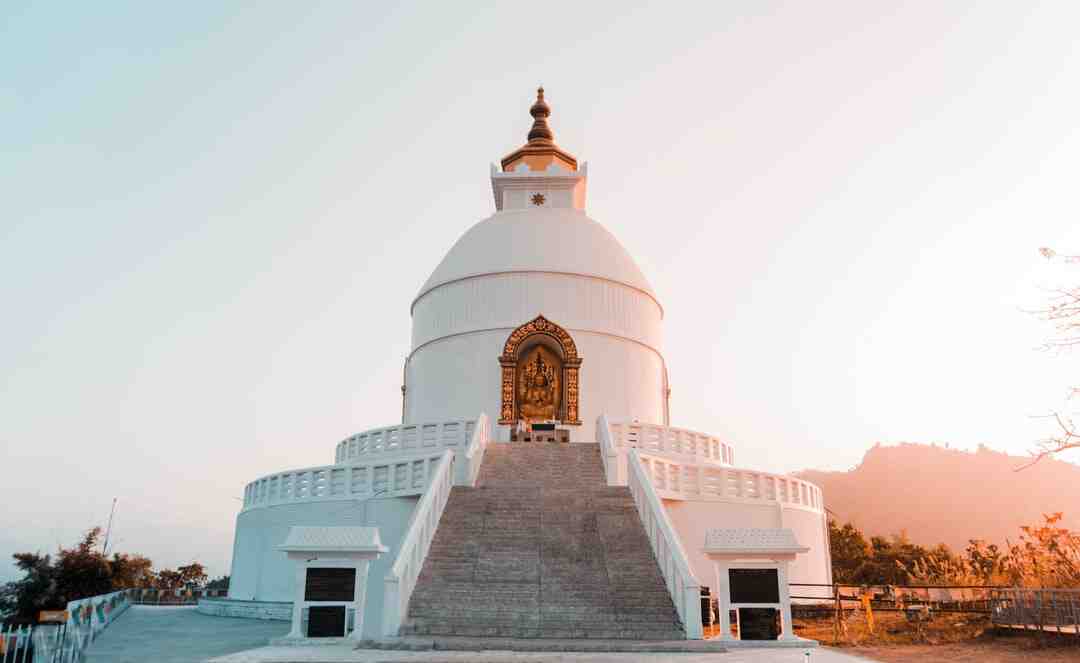 Quelle est la plus grande licence au monde ?