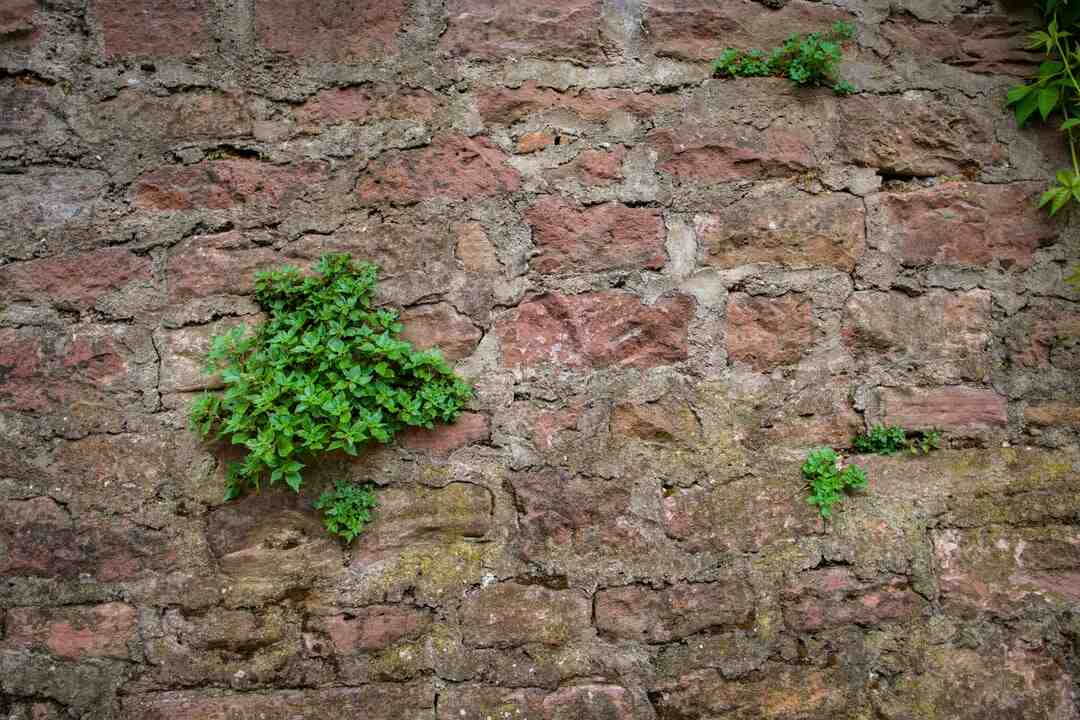 Quelle pierre correspond à mon prénom ?