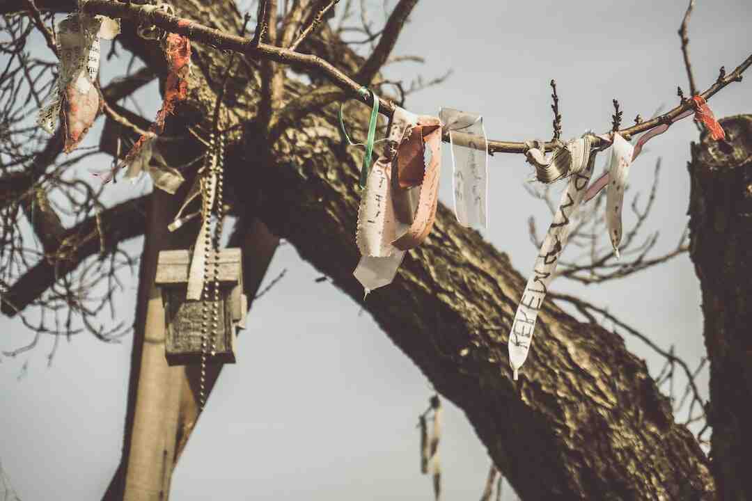 Qui sont les 7 étoiles Genshin ?