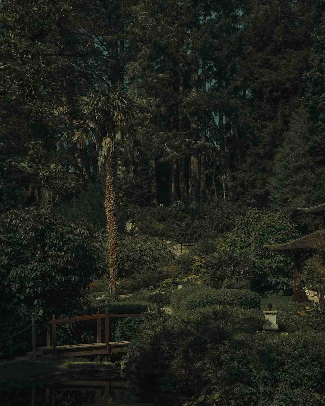 Trucs et astuces maison et jardin