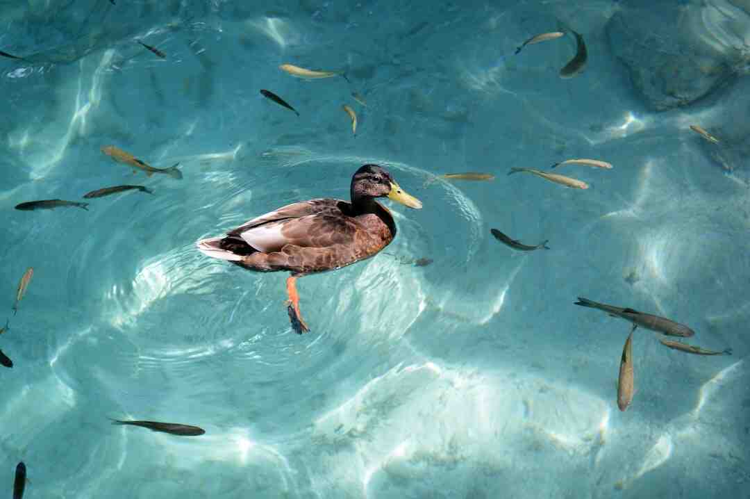 C'est quoi avoir de belles jambes ?