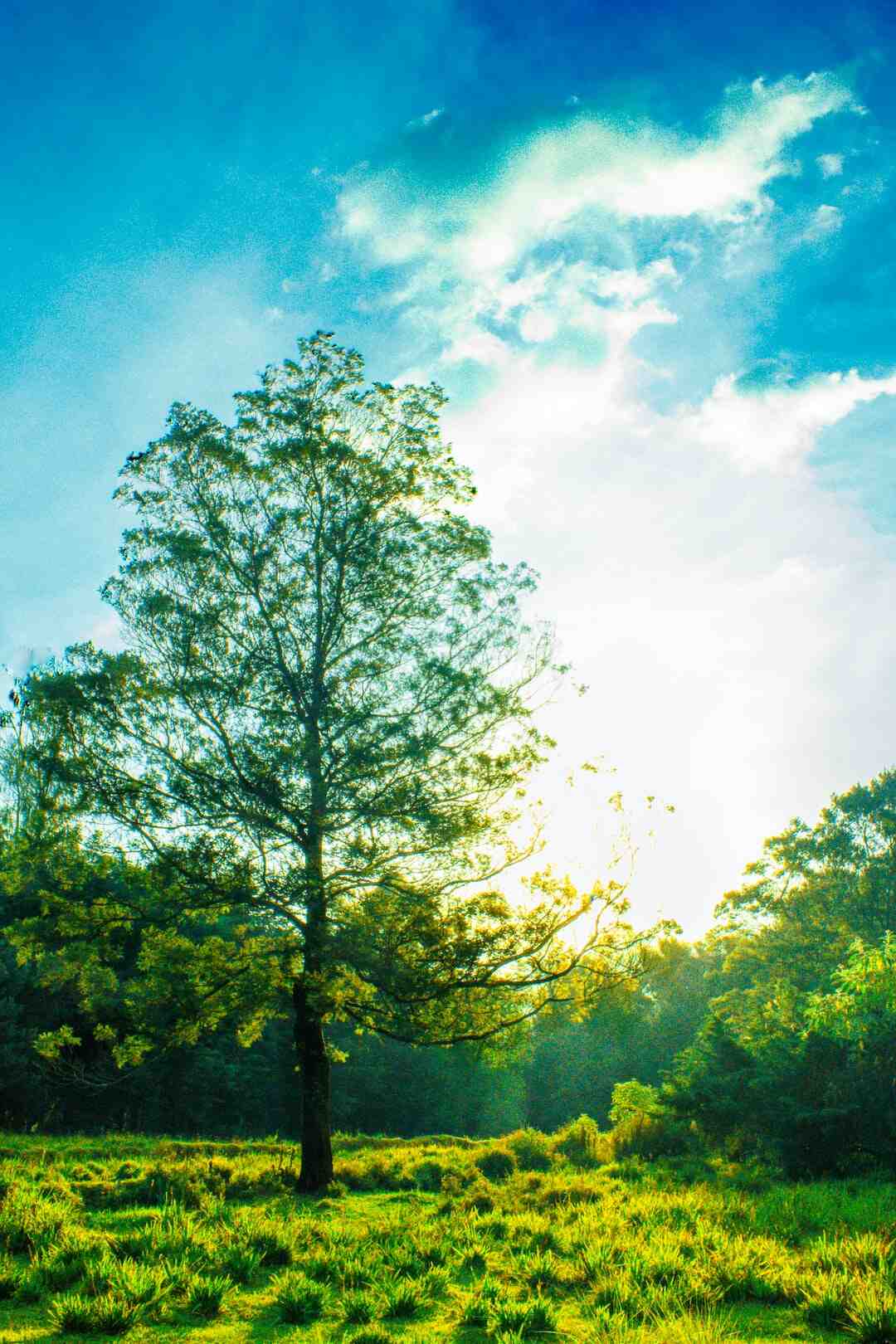 C'est quoi une raison impérieuse ?