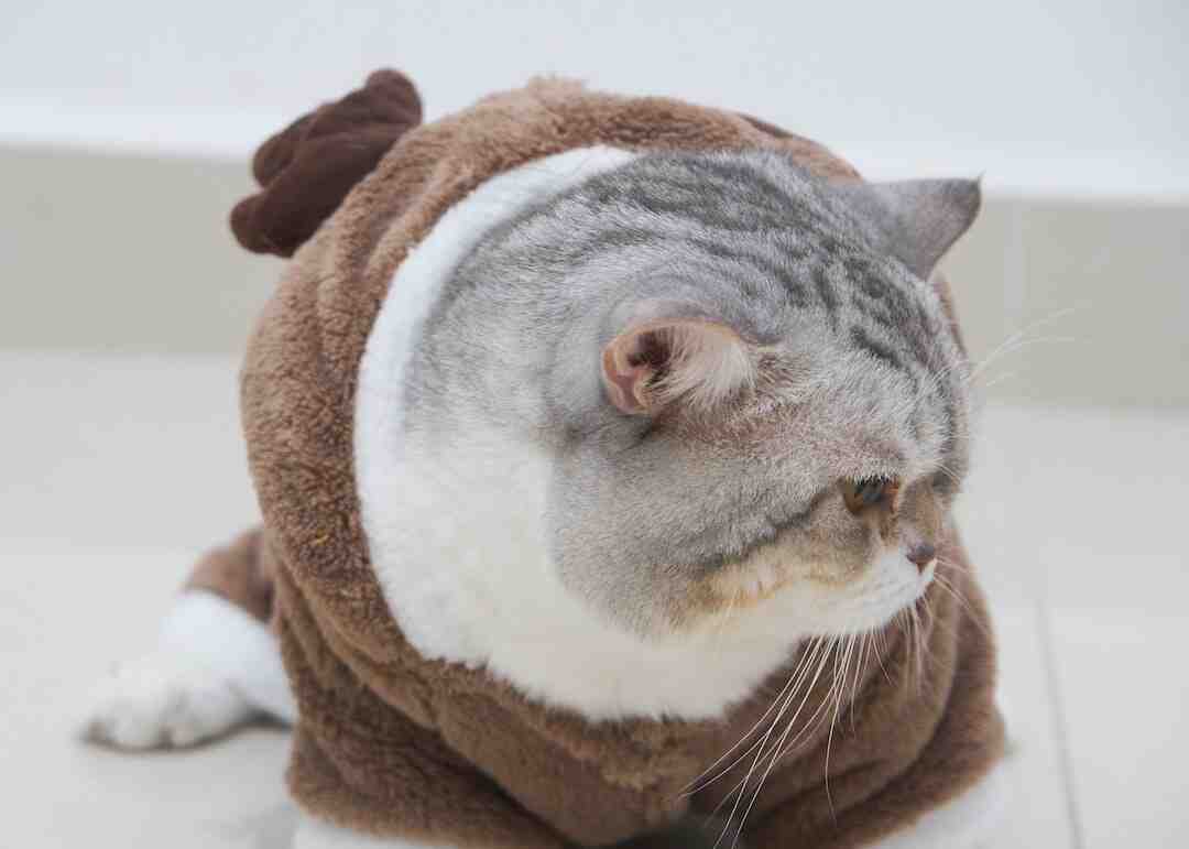 Comment collaborer avec les fournisseurs ?