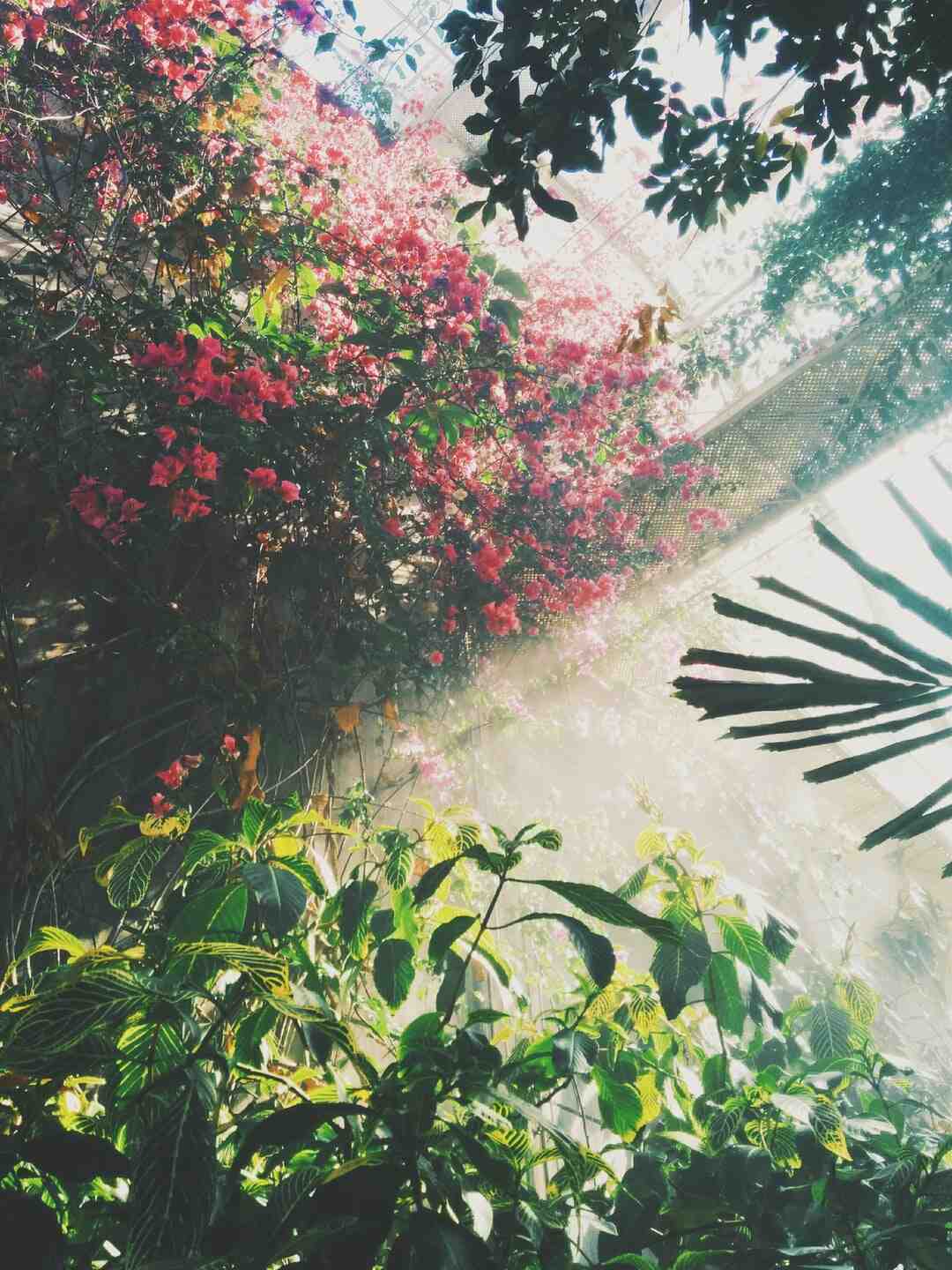 Comment creer un sol riche et fertile ?