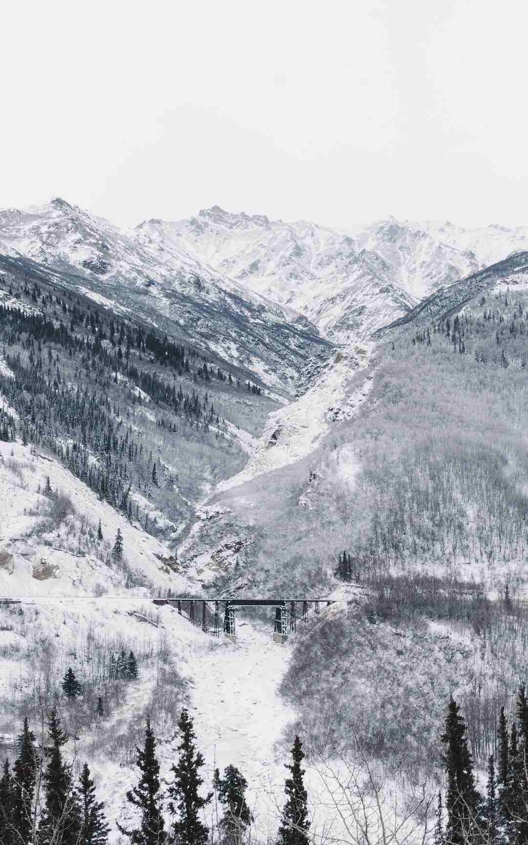 Comment faire revenir True Tone ?